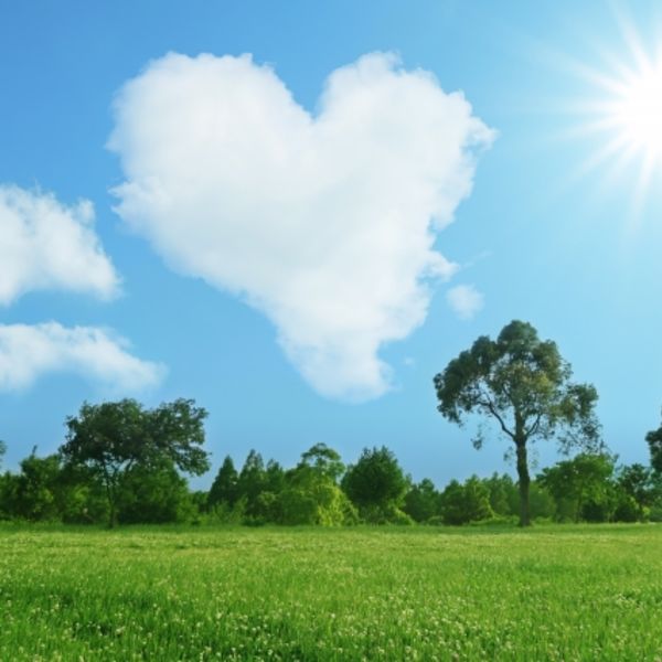 福岡市の結婚相談所Matchmakerはお茶会開催しています